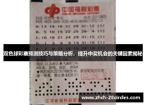 双色球彩票预测技巧与策略分析，提升中奖机会的关键因素揭秘